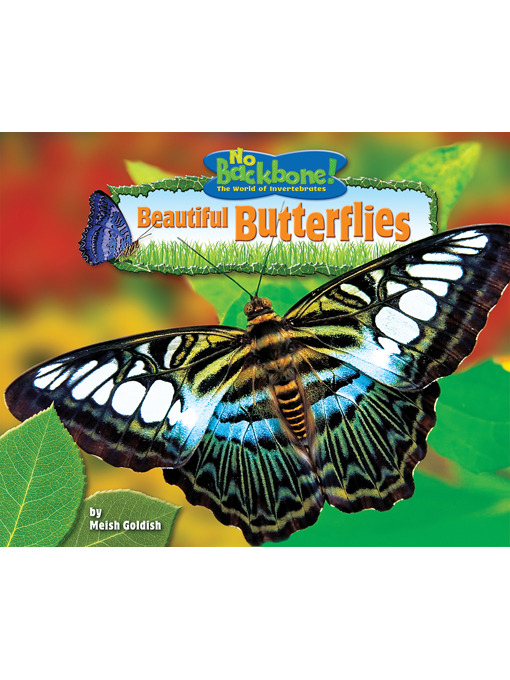 Title details for Beautiful Butterflies by Meish Goldish - Available